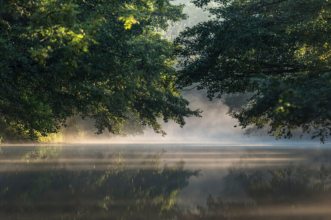 Biosphärenreservat Spreewald, Unterspreewald, Brandenburg, Deutschland, Kajaktouren, Naherholungsgebiet, Wildnis, Ausflug, Flusslandschaft im Morgennebel, Einsamkeit, Wasserspiegelung, Sonnenaufgang, Nebel