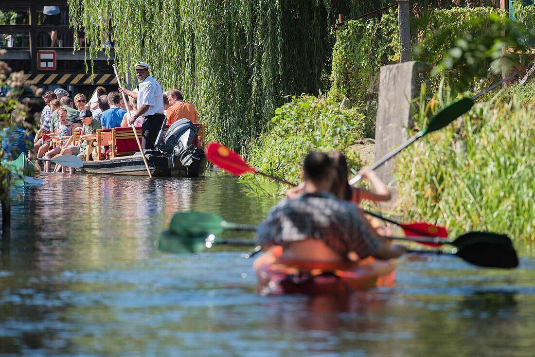 Spreewald Biosphere Reserve, Brandenburg, Germany, Kayaking, Recreation Area, Family Vacation, Family Outing, Paddling, Wilderness, Excursion, Day Trip, Kayakers paddling down the river Landscape