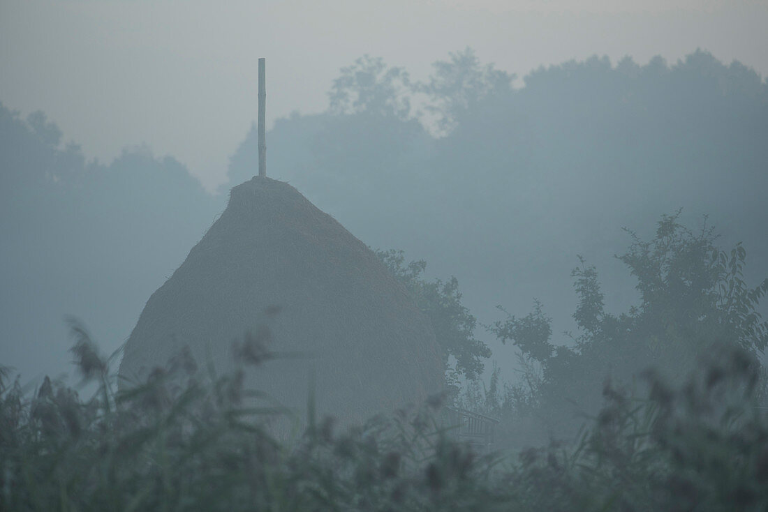 Spreewald biosphere reserve, Brandenburg, Germany, recreation area, tradition, cultural landscape, culture,  hay, straw