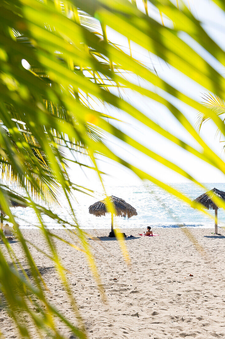 beautiful sandy beach and turquoise blue sea, Playa Rancha Luna, palm tree, family travel to Cuba, parental leave, holiday, time-out, adventure, Cienfuegos, Cuba, Caribbean island