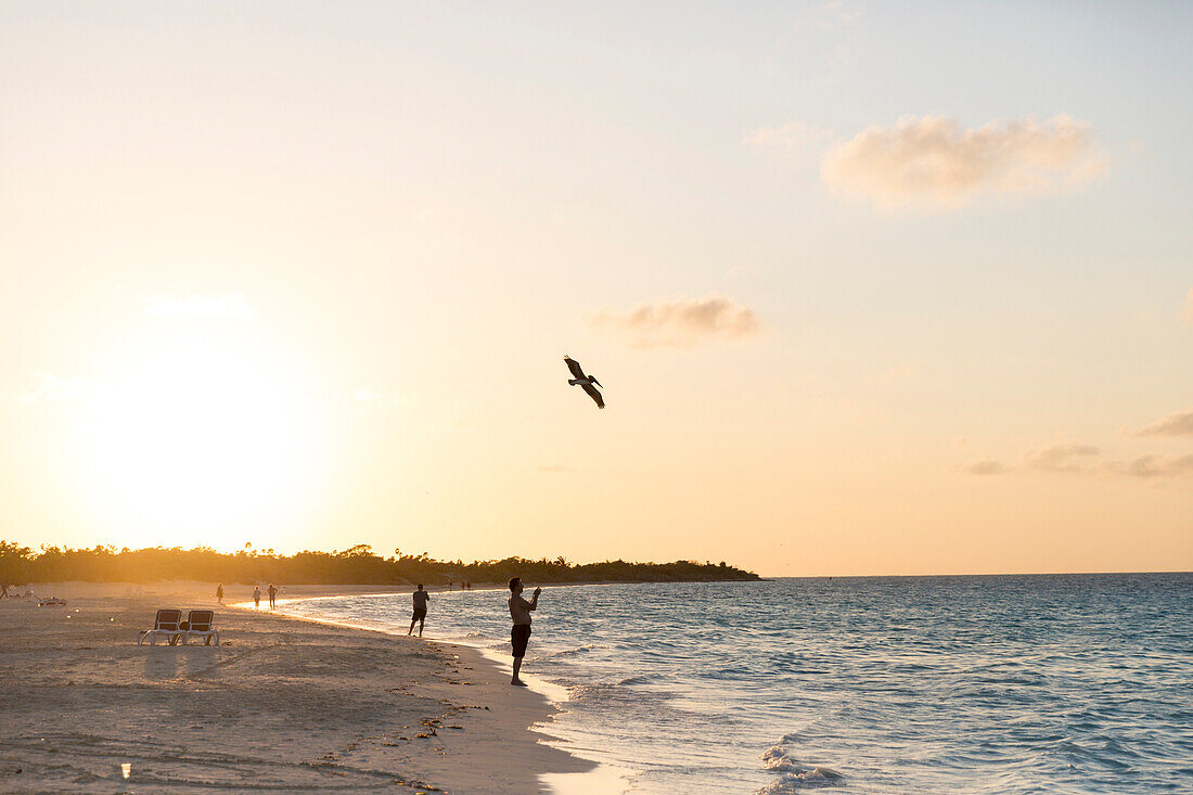 tourists on Cayo Coco beach at sunset, Pelikan, sandy dream beach, turquoise blue sea, swimming, Memories Flamenco Beach Resort, hotel, family travel to Cuba, parental leave, holiday, time-out, adventure, Cayo Coco, Jardines del Rey, Provinz Ciego de Ávil