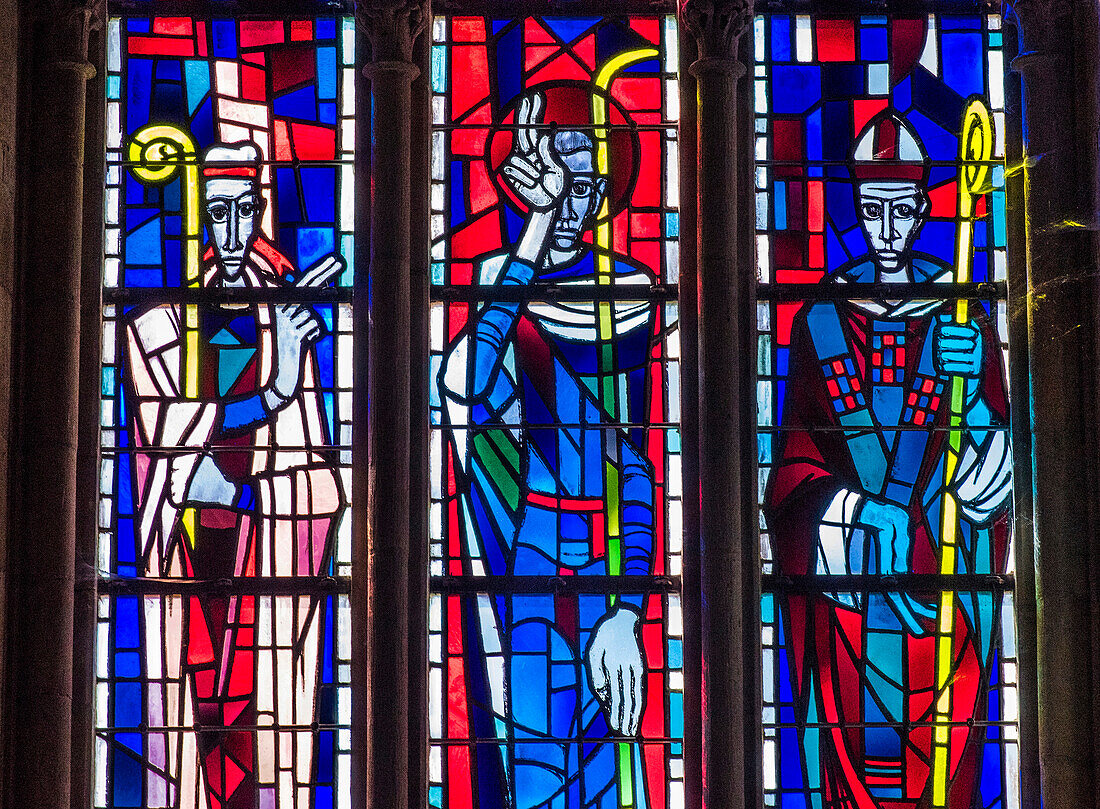 Normandy, Manche, the Notre Dame des Coutances Cathedral, stained glass windows of the founders, representing Gde de Montbran, Salt Ereptique and H. de Morville (Historical Monument)