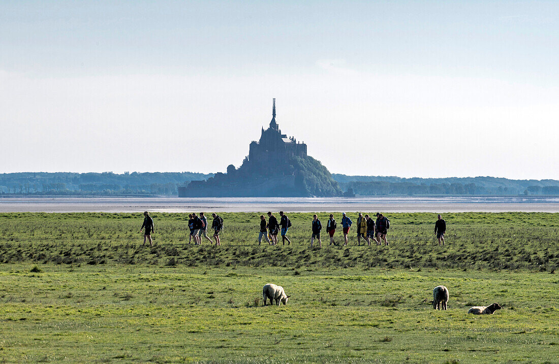 Normandy, hikers going through the Mont Saint Michel Bay, (UNESCO World Heritage) (on the way to Santiago de Compostela)