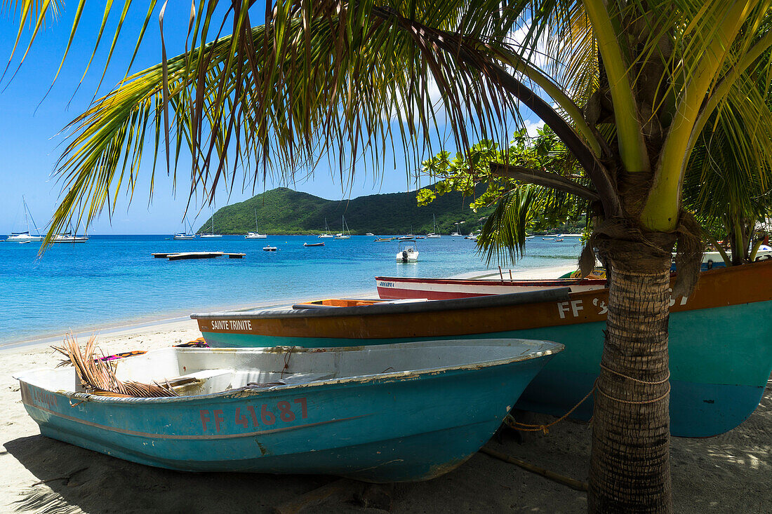 Boats, Beach, Grande Anse d'arlet, Martinque, France