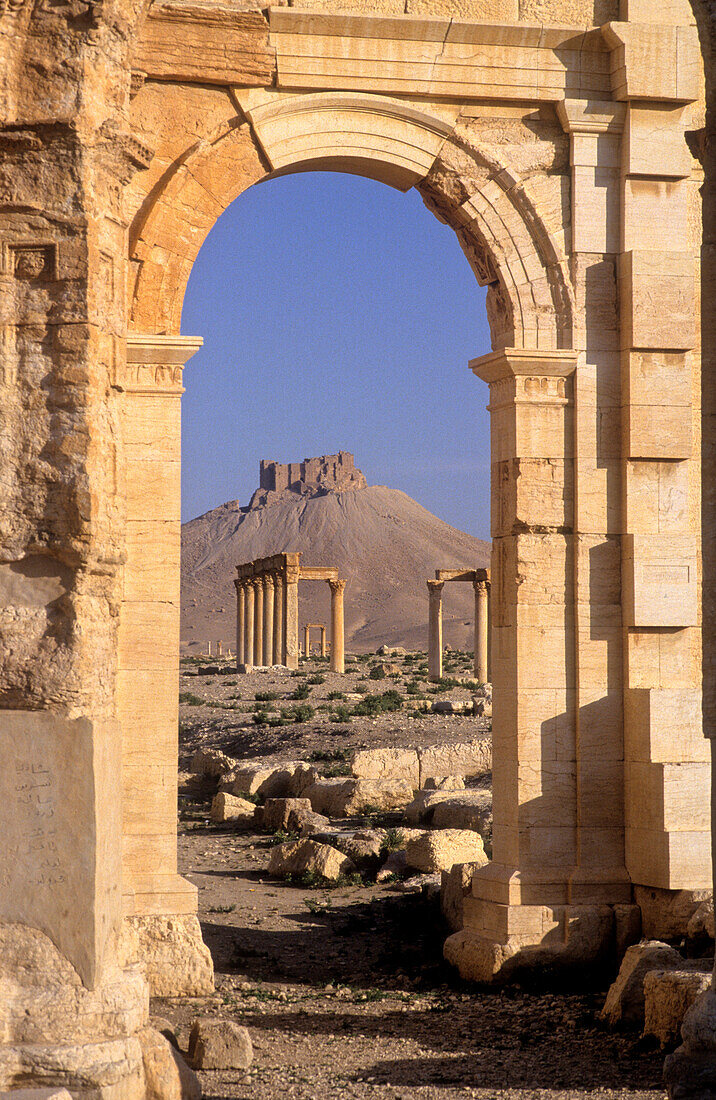 Syria, Palmyra, archeological site (UNESCO world heritage), arab citadel in the back