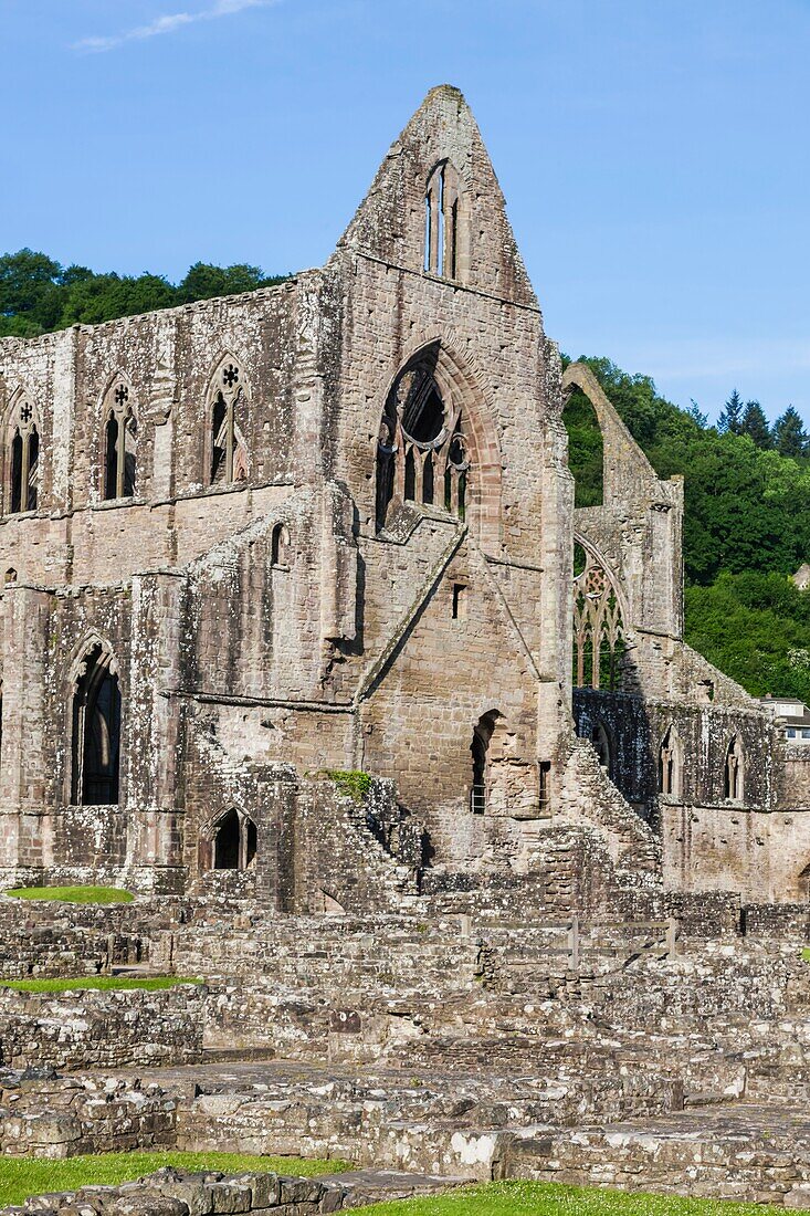 Wales, Monmouthshire, Tintern Abbey