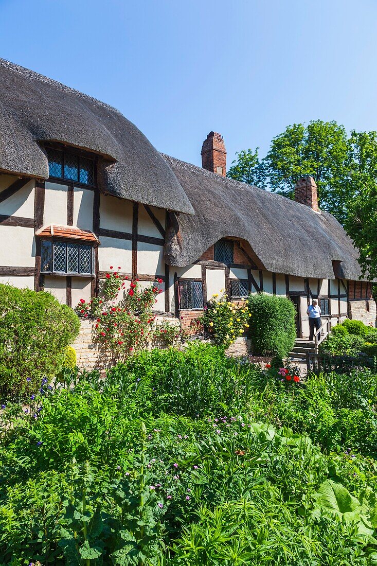 England, Warwickshire, Cotswolds, Stratford-Upon-Avon, Anne Hathaway's Cottage