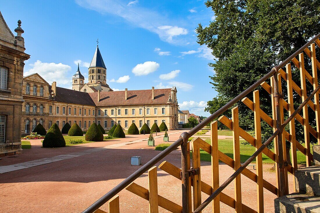 Cluny Abbey, Cluny, Saone-et-Loire Department, Burgundy Region, Maconnais Area, France, Europe