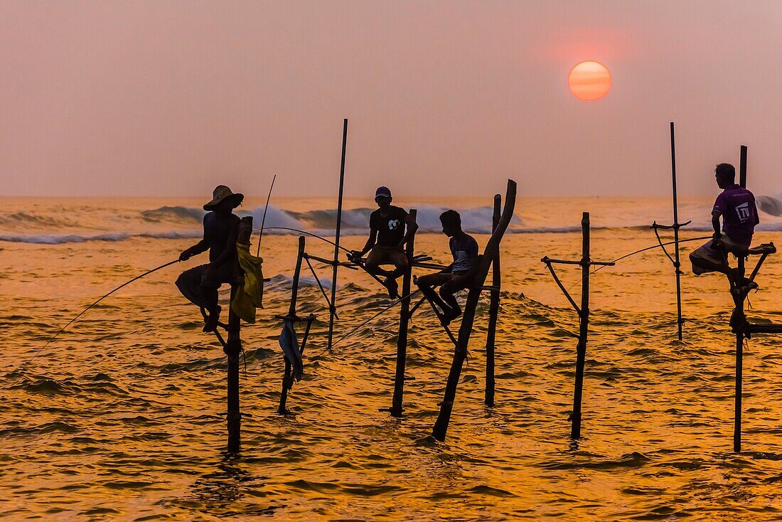 Stilt fishermen fishing at sunset, Ahangama, Southern Province, Sri Lanka