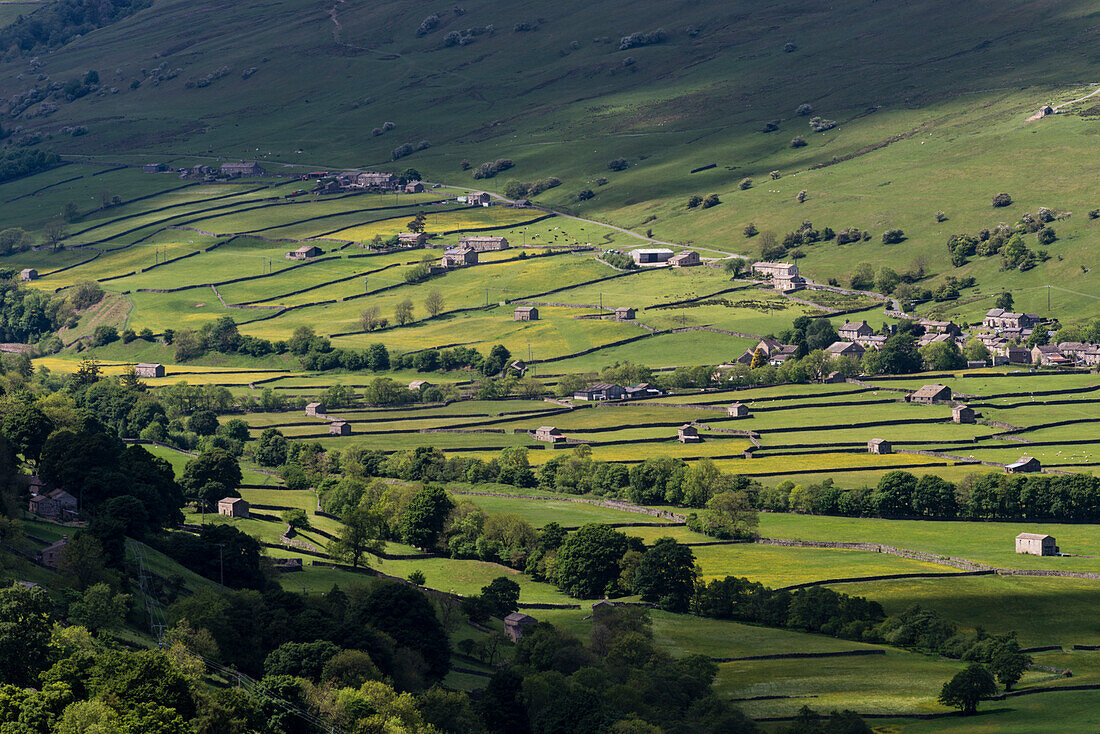 View of stone barns and traditional meadows, Gunnerside, Swaledale, Yorkshire Dales National Park, North Yorkshire, England, United Kingdom, Europe