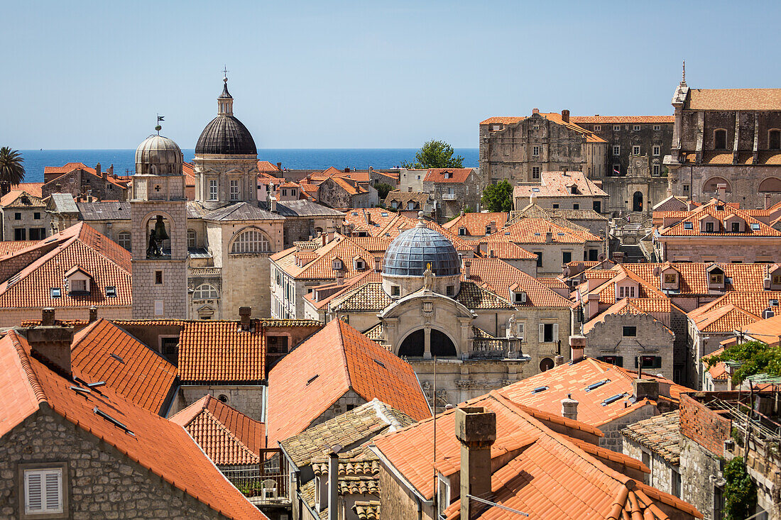 Looking across Dubrovnik's terracotta tiled rooftops, Dubrovnik, Croatia, Europe