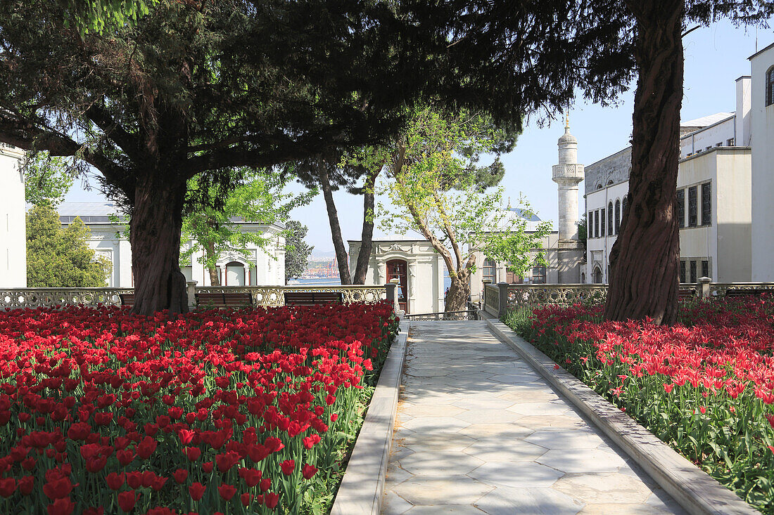 Tulip Garden, Fourth Courtyard, Topkapi Palace, UNESCO World Heritage Site, Istanbul, Turkey, Europe