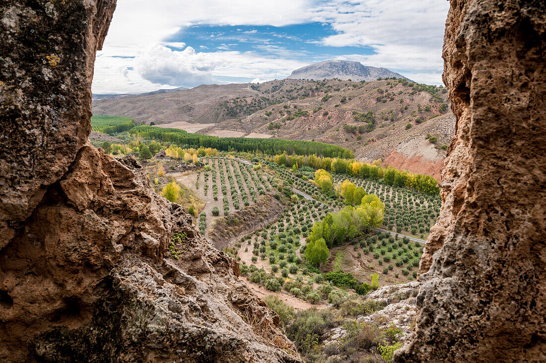 field, Cuevas, la Granja, Guadix, Andalusia, Spain, Europe