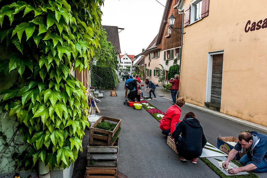 People arranging petals for the flower carpet, Corpus Christi, Feast of Corpus Christi, procession, Sipplingen, Lake Constance, Baden-Wuerttemberg, Germany, Europe