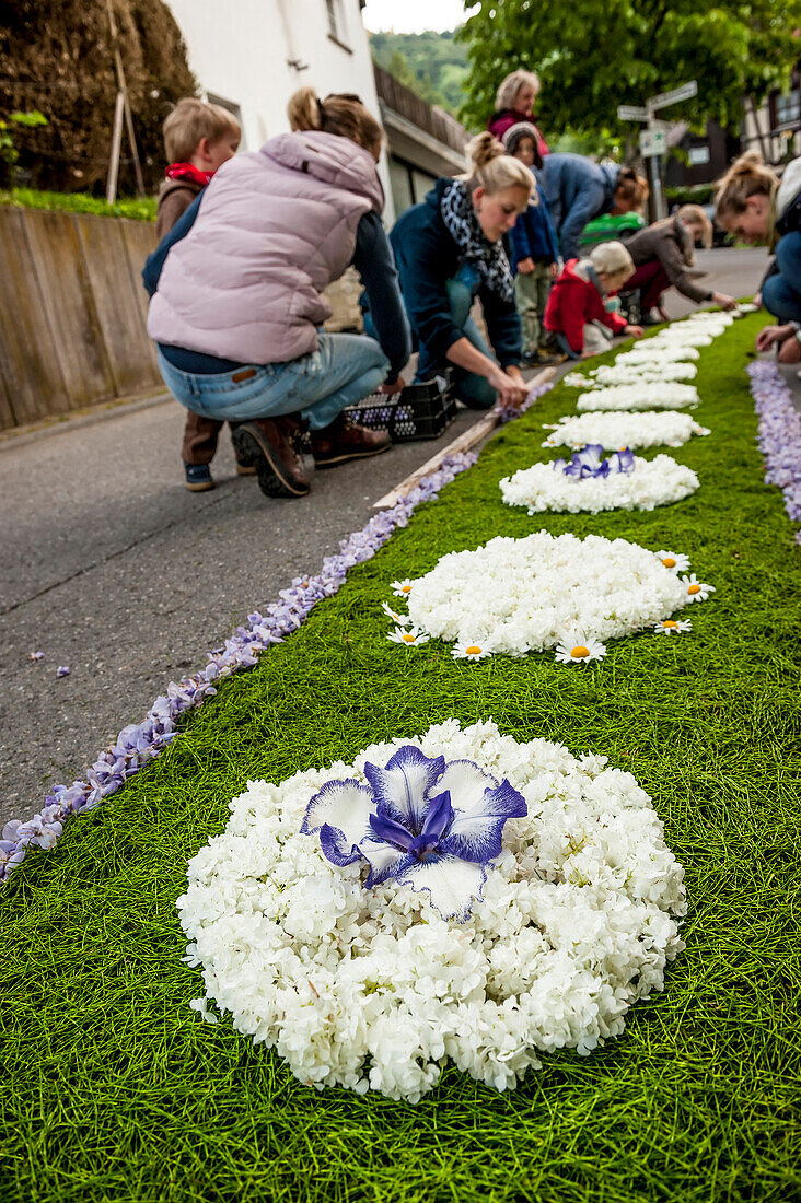 People arranging petals for the flower carpet, Corpus Christi, Feast of Corpus Christi, procession, Sipplingen, Lake Constance, Baden-Wuerttemberg, Germany, Europe