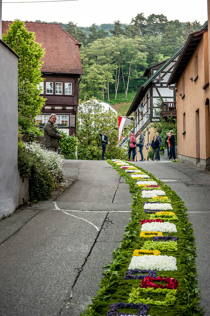 Blumenteppich, Fronleichnam, Prozession, Sipplingen, Überlinger See, Bodensee, Baden-Württemberg, Deutschland, Europa