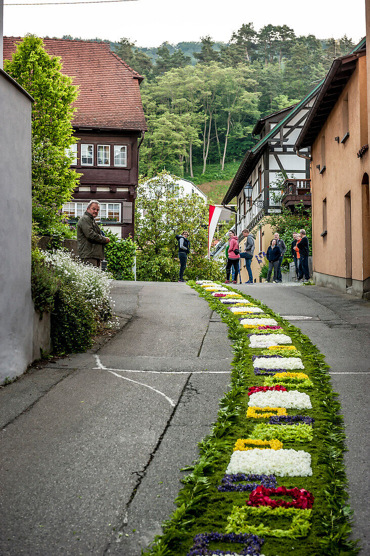 Petals on the floor, Flower carpet, Corpus Christi, Feast of Corpus Christi, procession, Sipplingen, Lake Constance, Baden-Wuerttemberg, Germany, Europe