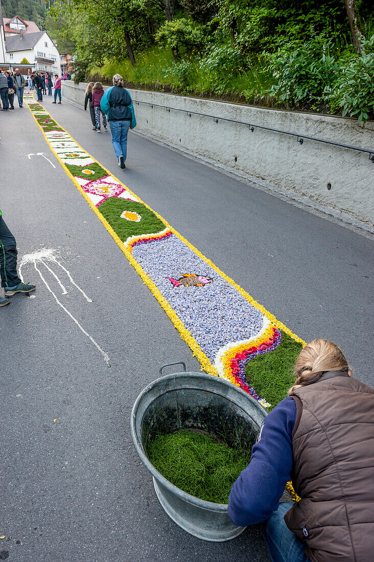 People arranging petals on the floor, Corpus Christi, Feast of Corpus Christi, procession, Sipplingen, Lake Constance, Baden-Wuerttemberg, Germany, Europe