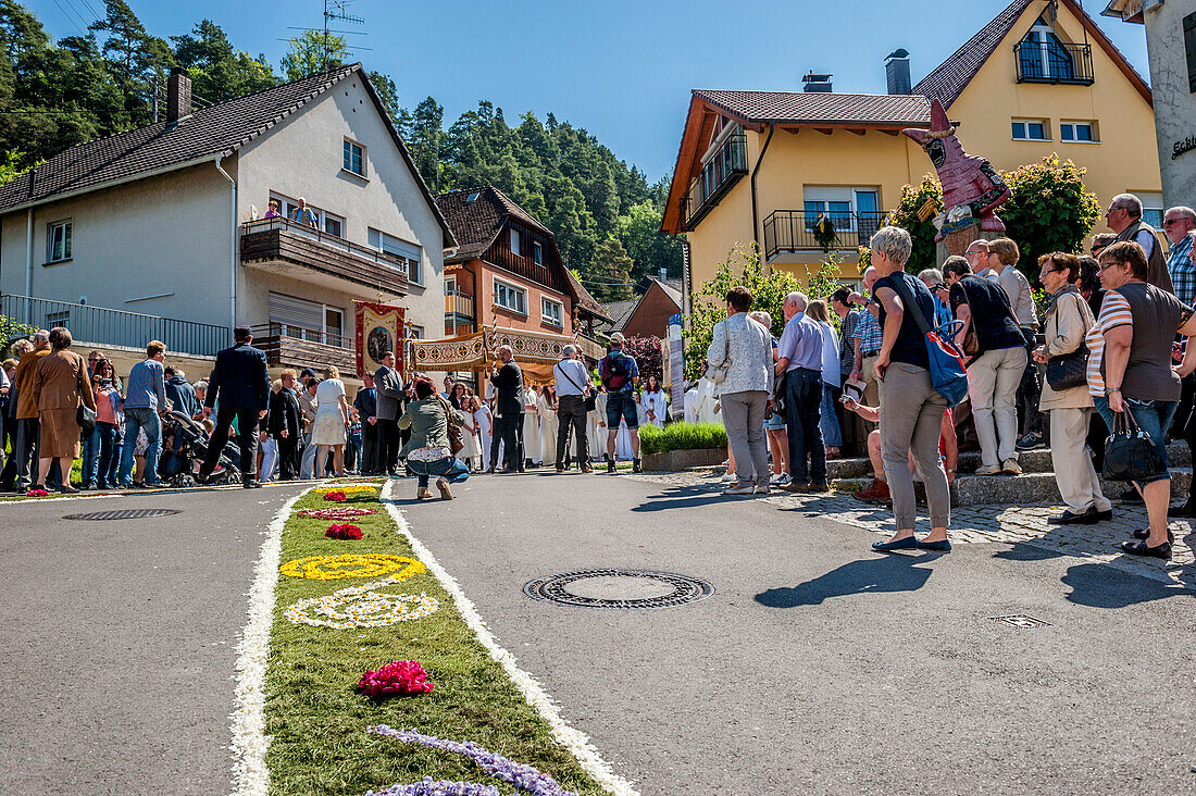 Corpus Christi, Feast of Corpus Christi procession, carpet of flowers, Sipplingen, Lake Constance, Baden-Wuerttemberg, Germany, Europe