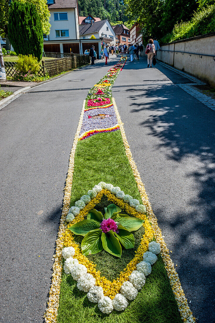 Fronleichnam Prozession, Blumenteppich, Sipplingen, Überlinger See, Bodensee, Baden-Württemberg, Deutschland, Europa