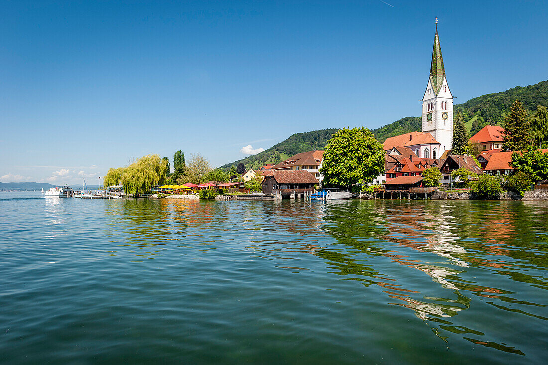 Dorf vom See aus gesehen, Dorf am See, Fronleichnam, Sipplingen, Überlinger See, Bodensee, Baden-Württemberg, Deutschland, Europa
