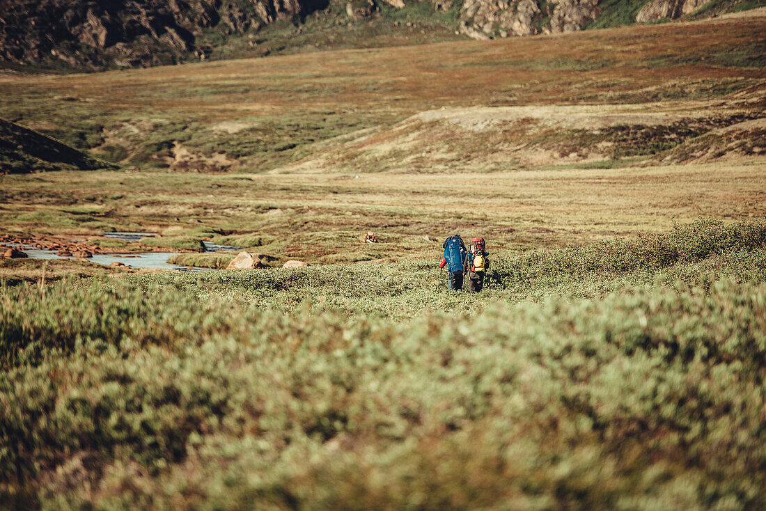 Wanderer auf einer Route durch Grönland, Grönland, Arktis.