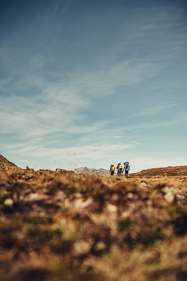 Wanderer auf einer Route durch Grönland, Grönland, Arktis.