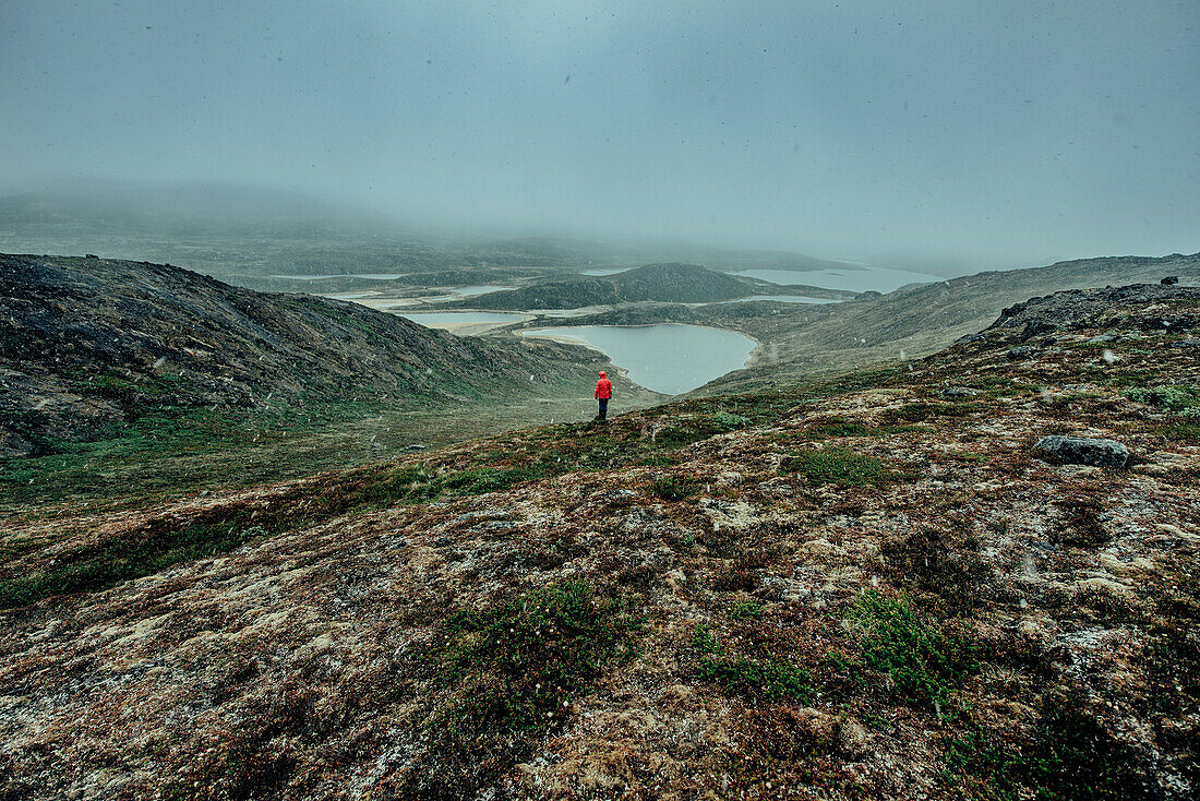 Hiker on a route through greenland, greenland, arctic.
