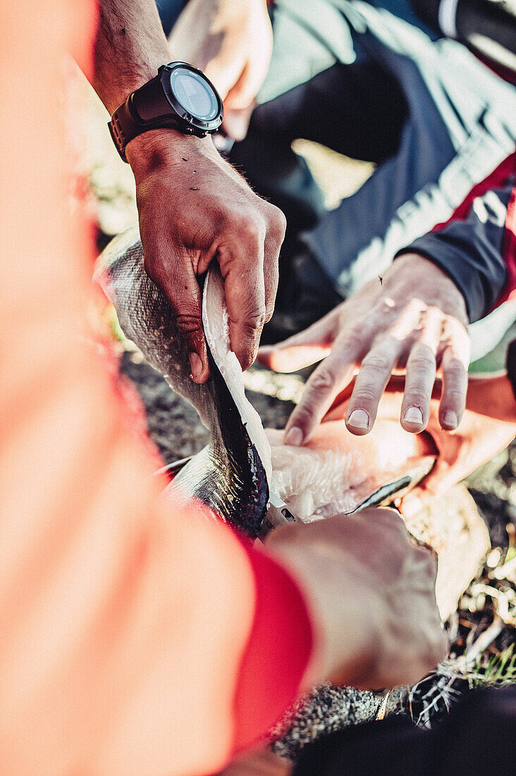 Mann bereitet einen Fisch zu, Grönland, Arktis.