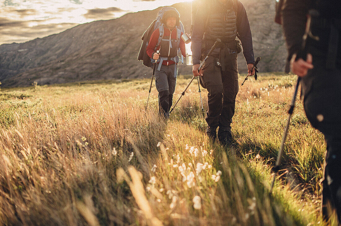 Wanderer auf einer Route durch Grönland, Grönland, Arktis.