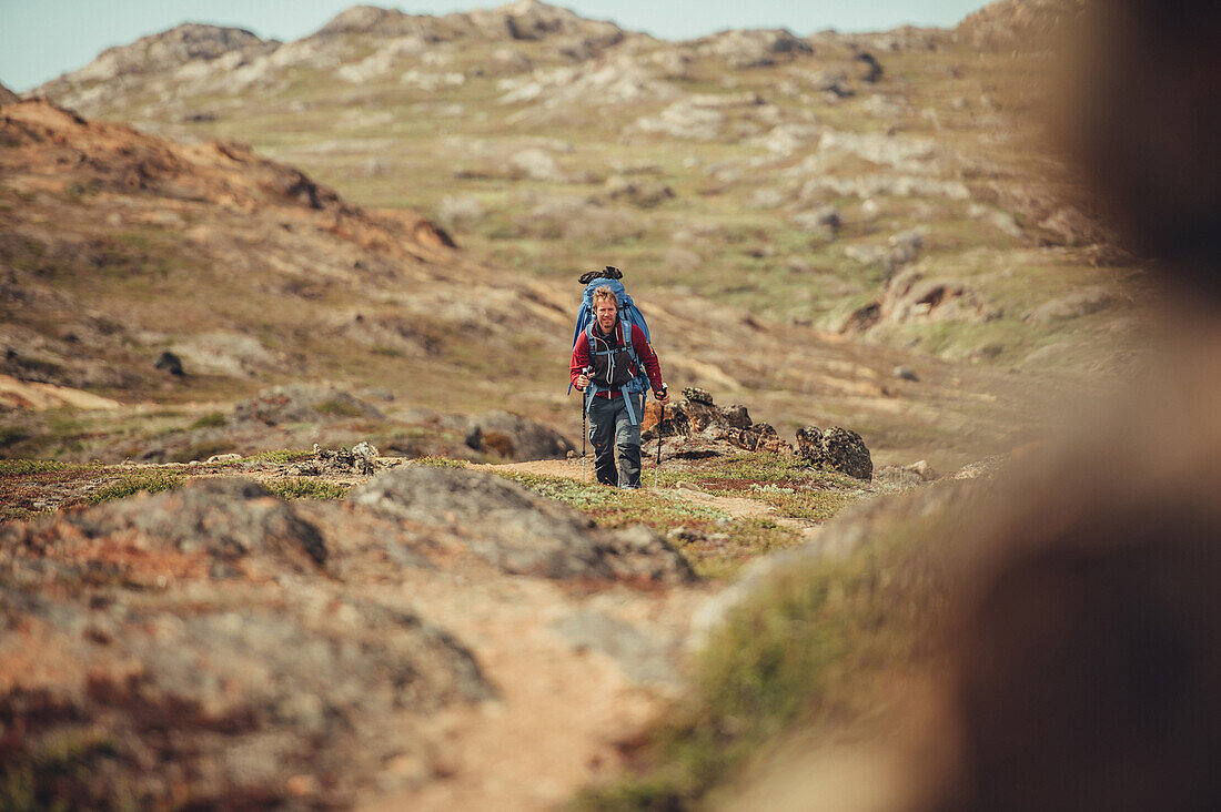 Wanderer auf einer Route durch Grönland, Grönland, Arktis.