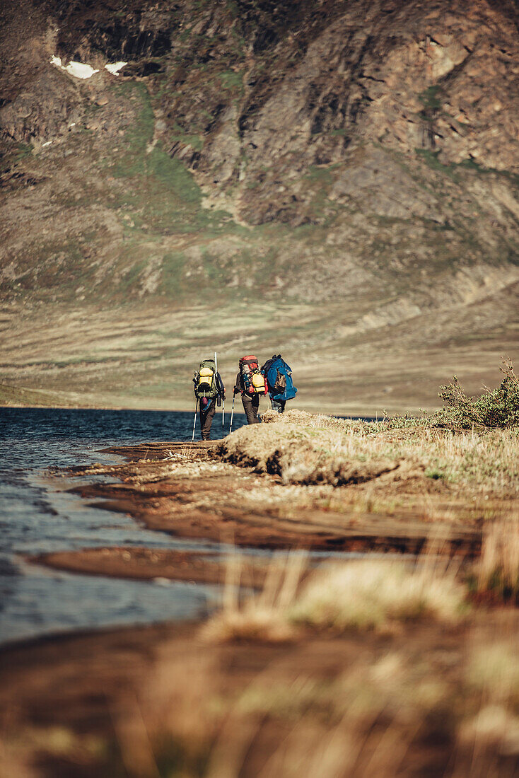 Hiker on a route through greenland, greenland, arctic.