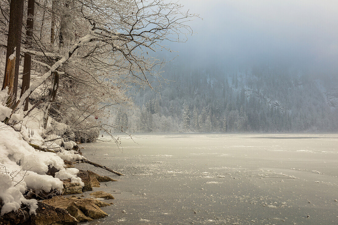 Zugefrorener Königssee, Königssee, Berchtesgaden, Bayern, Deutschland