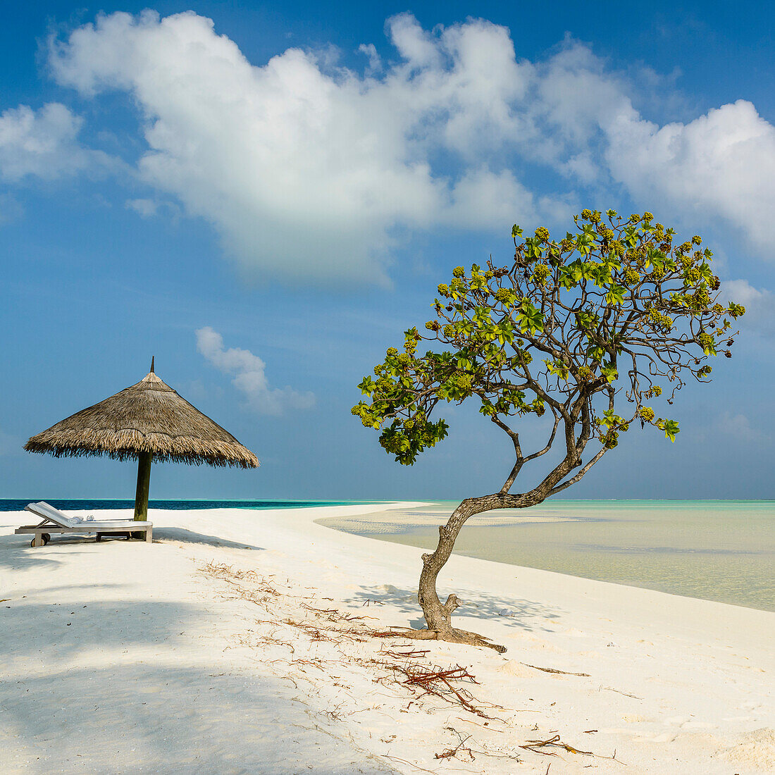 Liege im Schatten am Strand auf Cocoa Island, Maafushi, Malediven