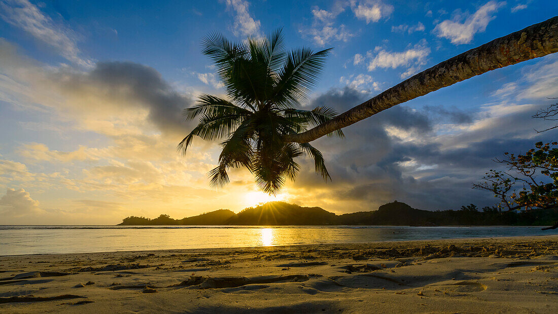 Sonnenuntergang unter Palmen an der Westküste von Mahé, Seychellen