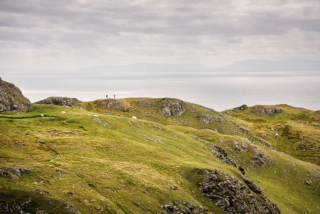 sheep and hikers around cliffs Slieve League, Teelin, County Donegal, Ireland, Wild Atlantic Way, Europe