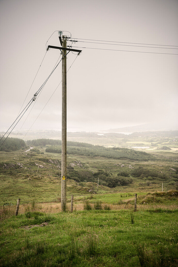 wooden power pole surrounded by lush green landscape, Beara Peninsula, County Cork, Ireland, Wild Atlantic Way, Europe