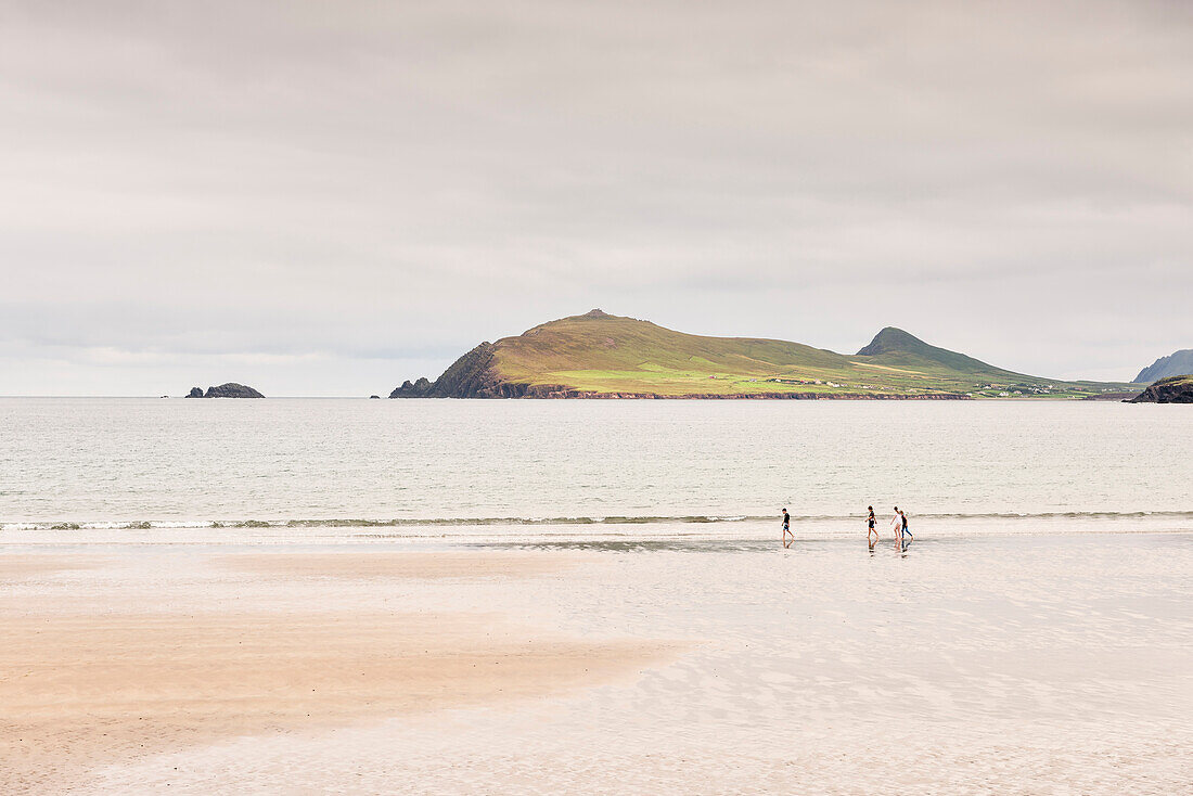 drei Kinder laufen am Strand Wine Beach entlang, Dingle Halbinsel, Slea Head Drive, Grafschaft Kerry, Irland, Wild Atlantic Way, Europa