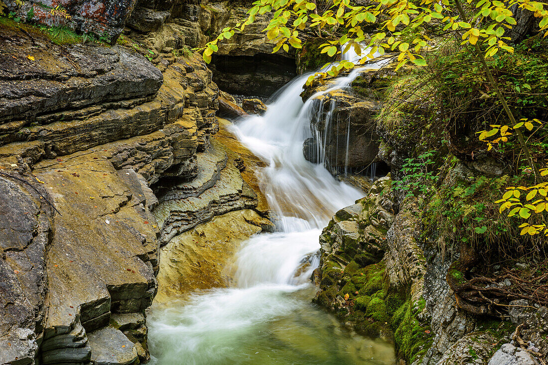 River with trees in autumn colours, Kuhflucht waterfall, Farchant, Ester Mountains, Bavarian Alps, Upper Bavaria, Bavaria, Germany