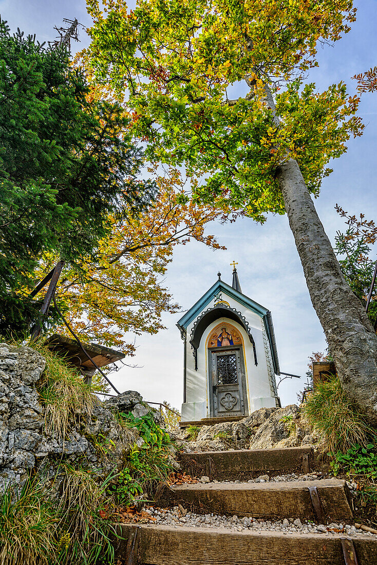 Chapel in forest, Riederstein, Bavarian Alps, Upper Bavaria, Bavaria, Germany