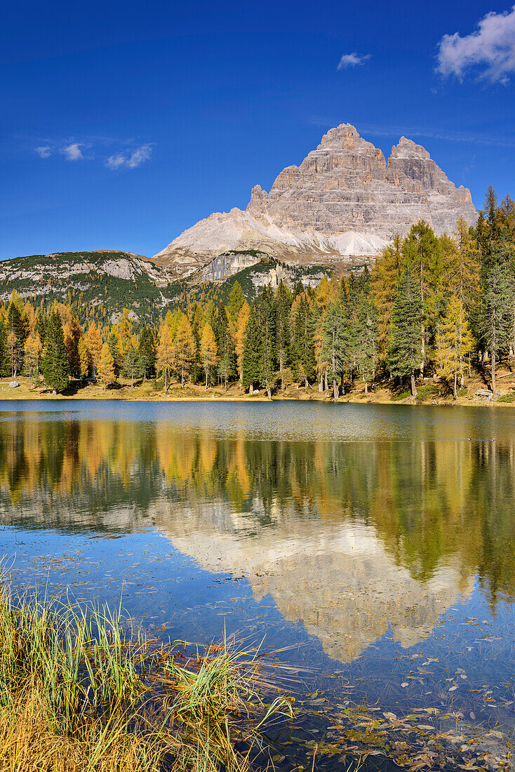 Drei Zinnen spiegeln sich im Lago d'Antorno, Lago d'Antorno, Dolomiten, UNESCO Welterbe Dolomiten, Venetien, Italien