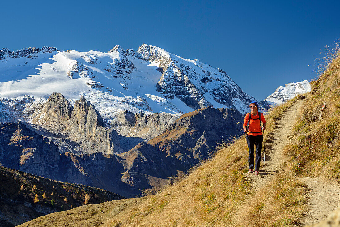 Frau wandert mit Marmolada im Hintergrund, Col di Lana, Dolomiten, UNESCO Welterbe Dolomiten, Venetien, Italien