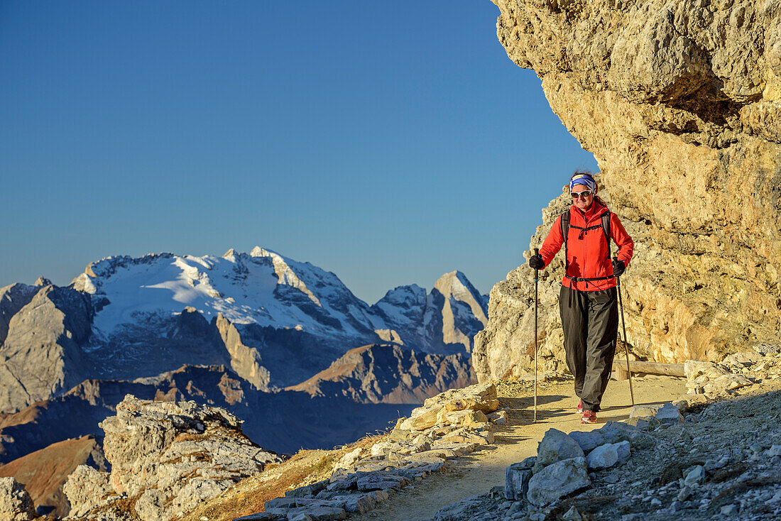 Woman hiking with Marmolada in background, from Lagazuoi, Dolomites, UNESCO World Heritage Site Dolomites, Venetia, Italy