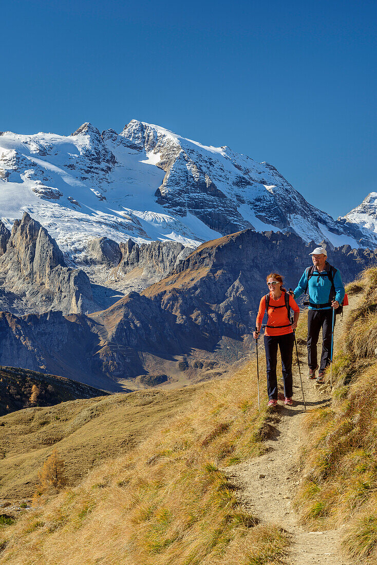 Man and woman hiking with Marmolada in background, Col di Lana, Dolomites, UNESCO World Heritage Site Dolomites, Venetia, Italy