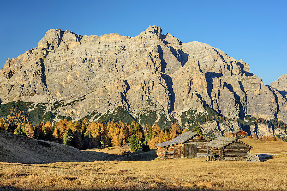 Meadows with hay barn and Fanes-Sennes group, Pralongia, Dolomites, UNESCO World Heritage Site Dolomites, Venetia, Italy