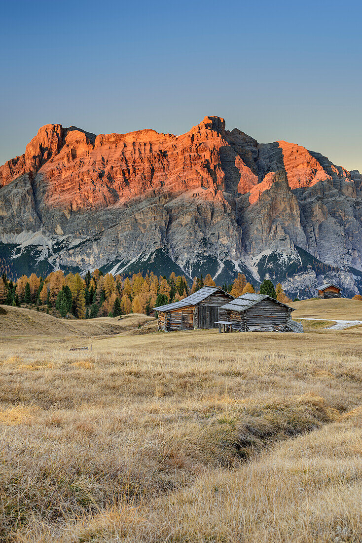 Meadows with hay barn and Fanes-Sennes group, Pralongia, Dolomites, UNESCO World Heritage Site Dolomites, Venetia, Italy