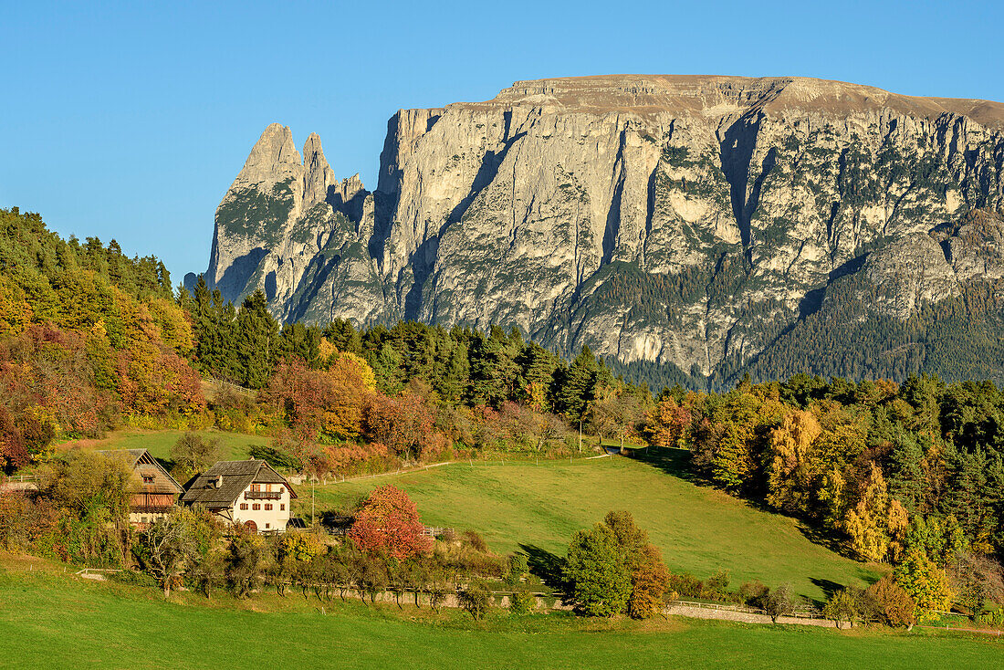 Bauernhöfe mit Rosszähne am Schlern im Hintergrund, Südtirol, Italien