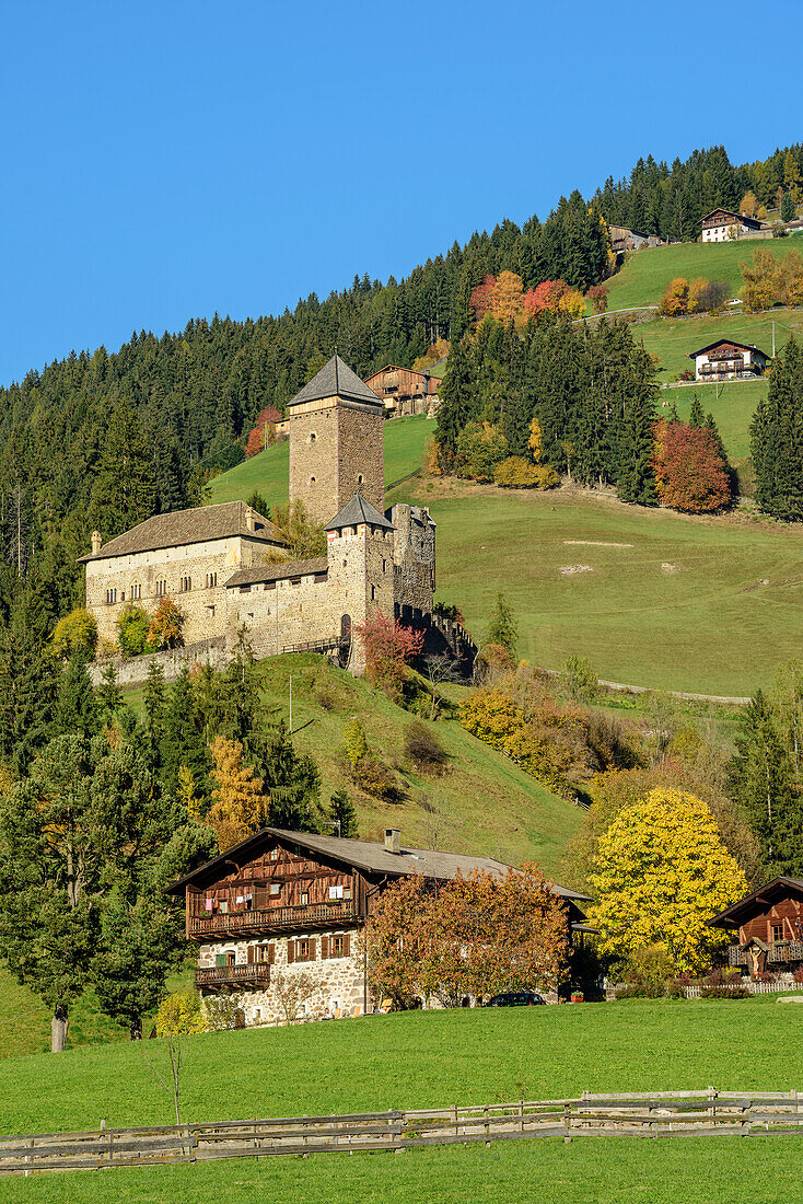 Castel and farmhouses in Sarnthein, valley of Sarntal, Sarntal Alps, South Tyrol, Italy