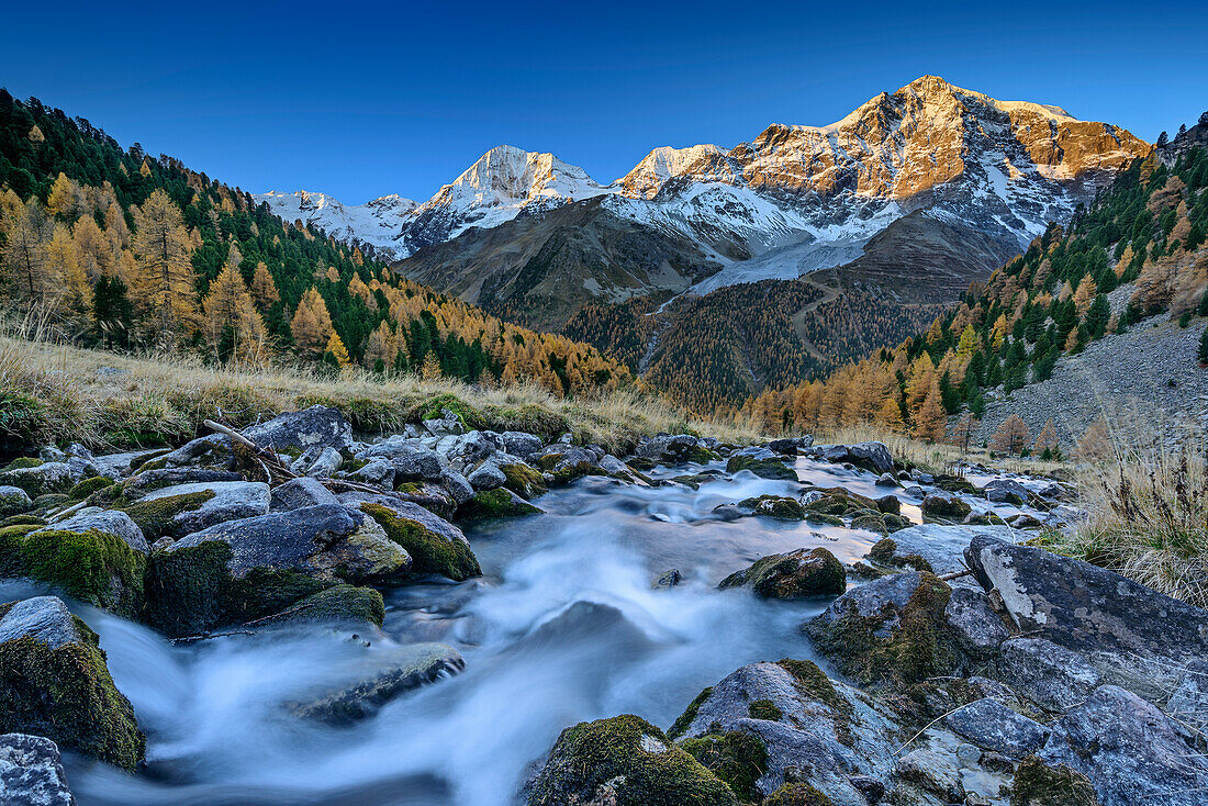 River with Koenigsspitze, Zebru and Ortler in background, Sulden, Ortler group, South Tyrol, Italy