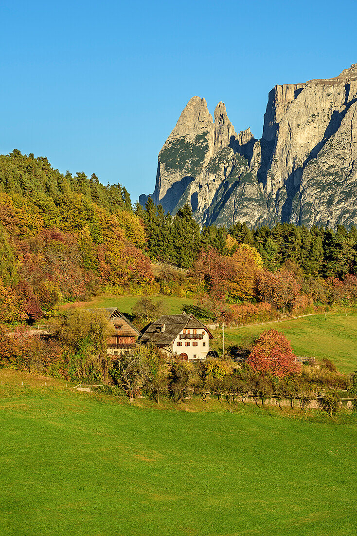 Farmhouses with Rosszaehne at Schlern in background, South Tyrol, Italy